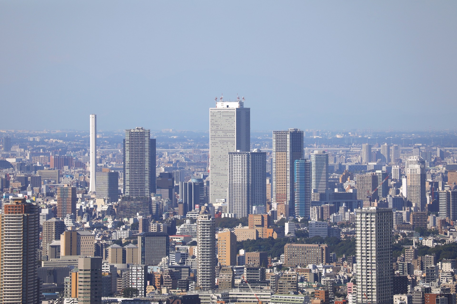 都心の分譲住宅価格の特徴