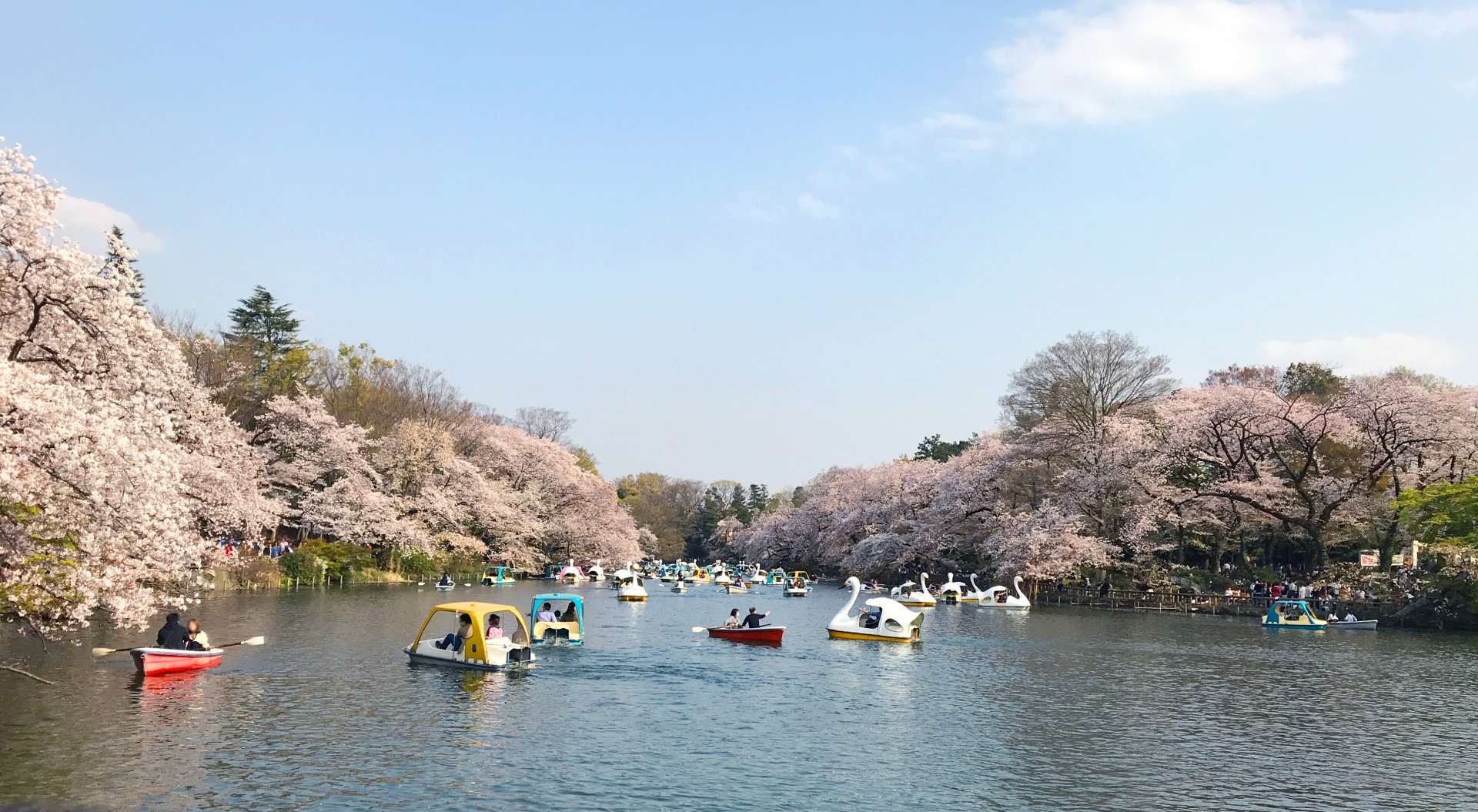 自然豊かな環境がもたらす暮らしの魅