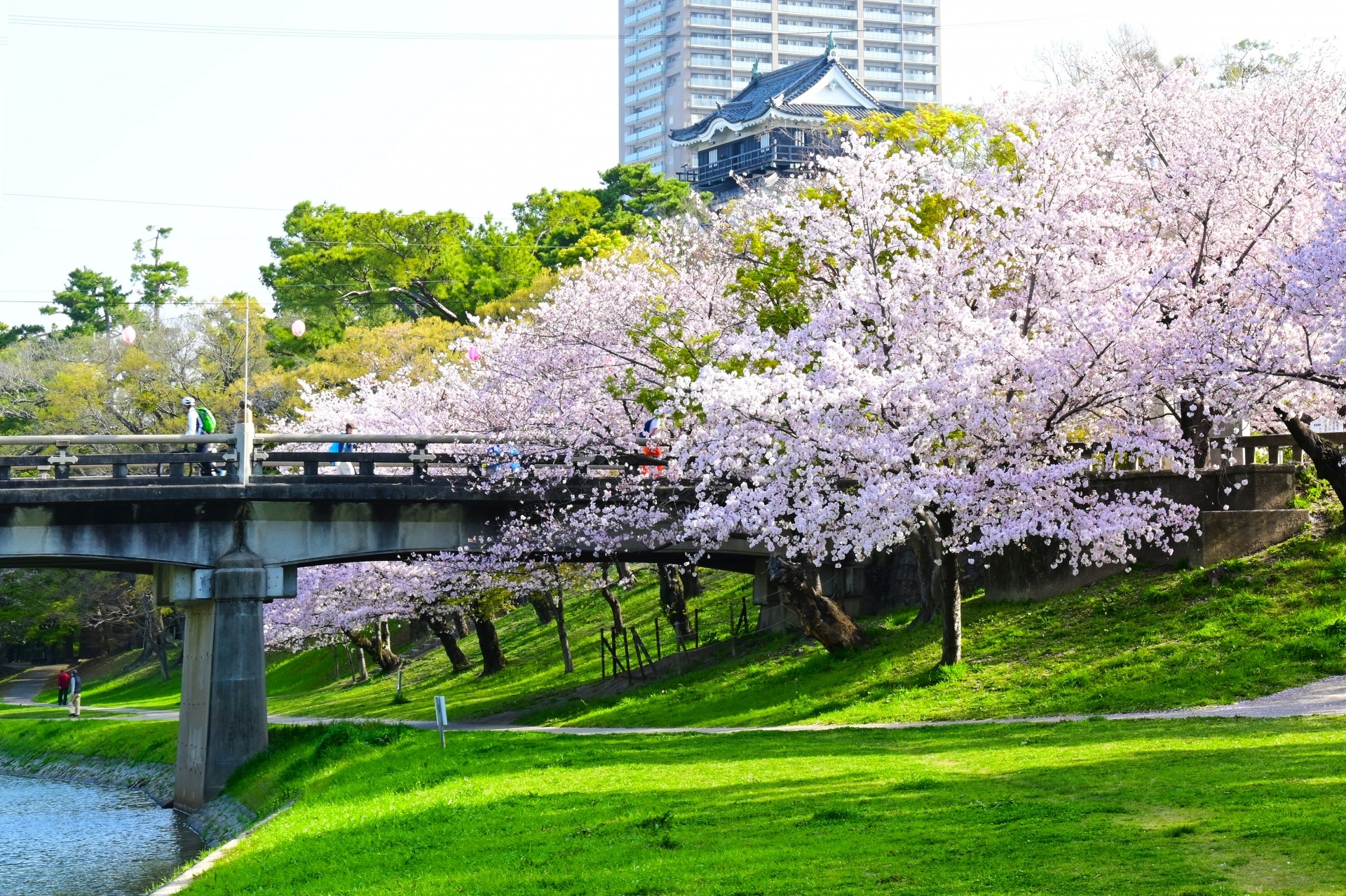 【まとめ】岡崎市は暮らしやすさと環境が整った地域