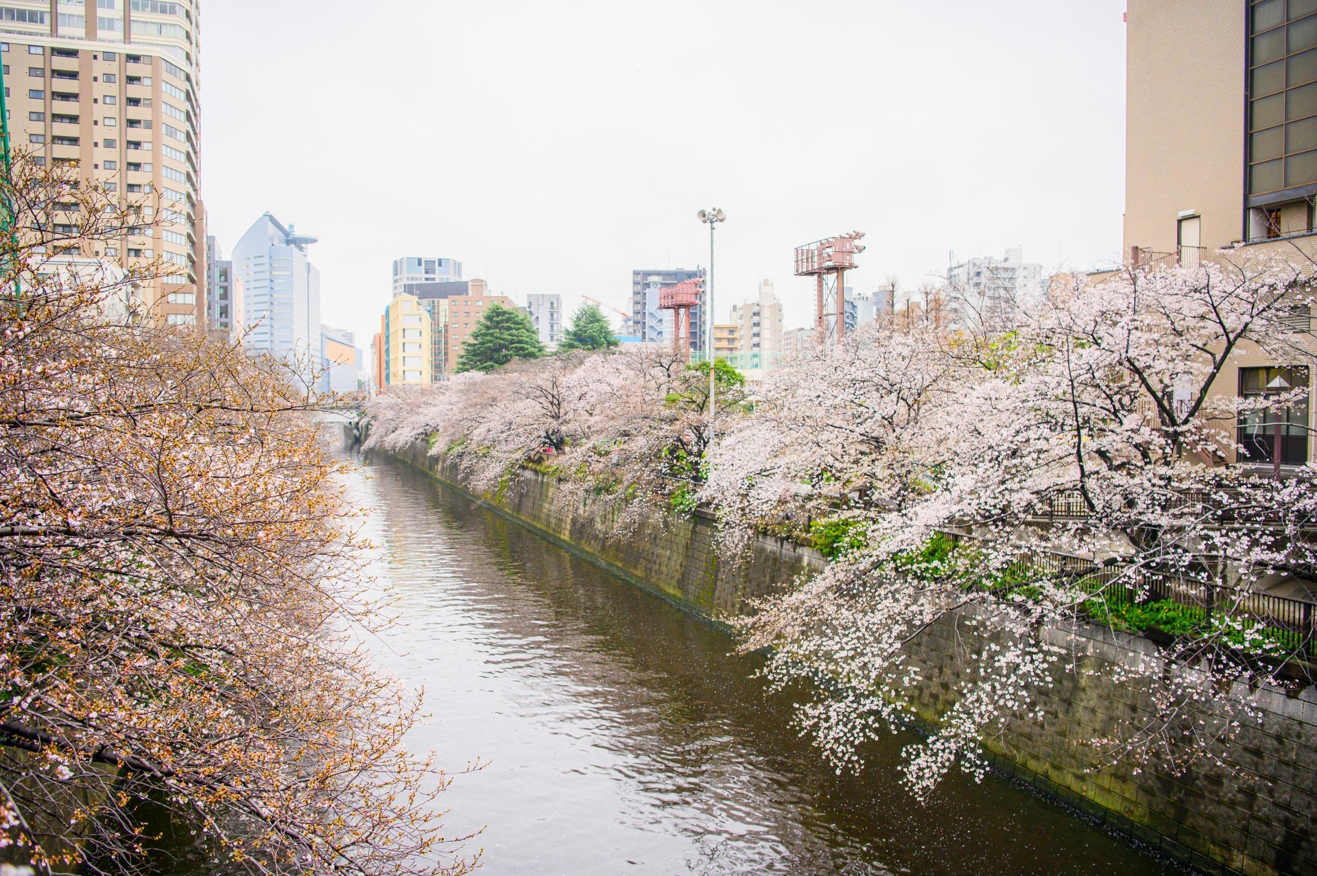 おすすめの隠れ家的分譲住宅エリアとその特徴