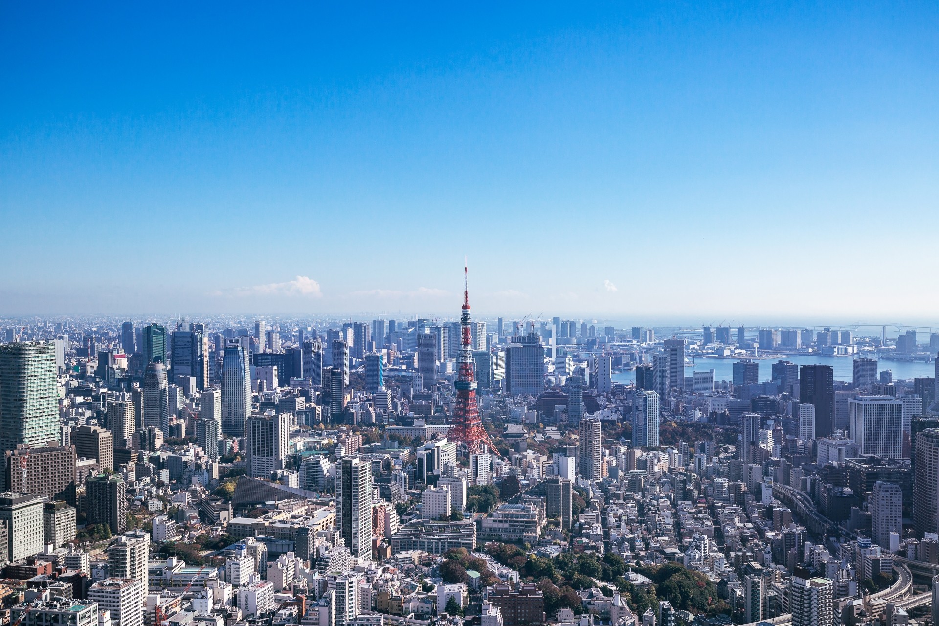 東京都の建売・分譲住宅のエコ技術、環境への取り組みと最新トレンド