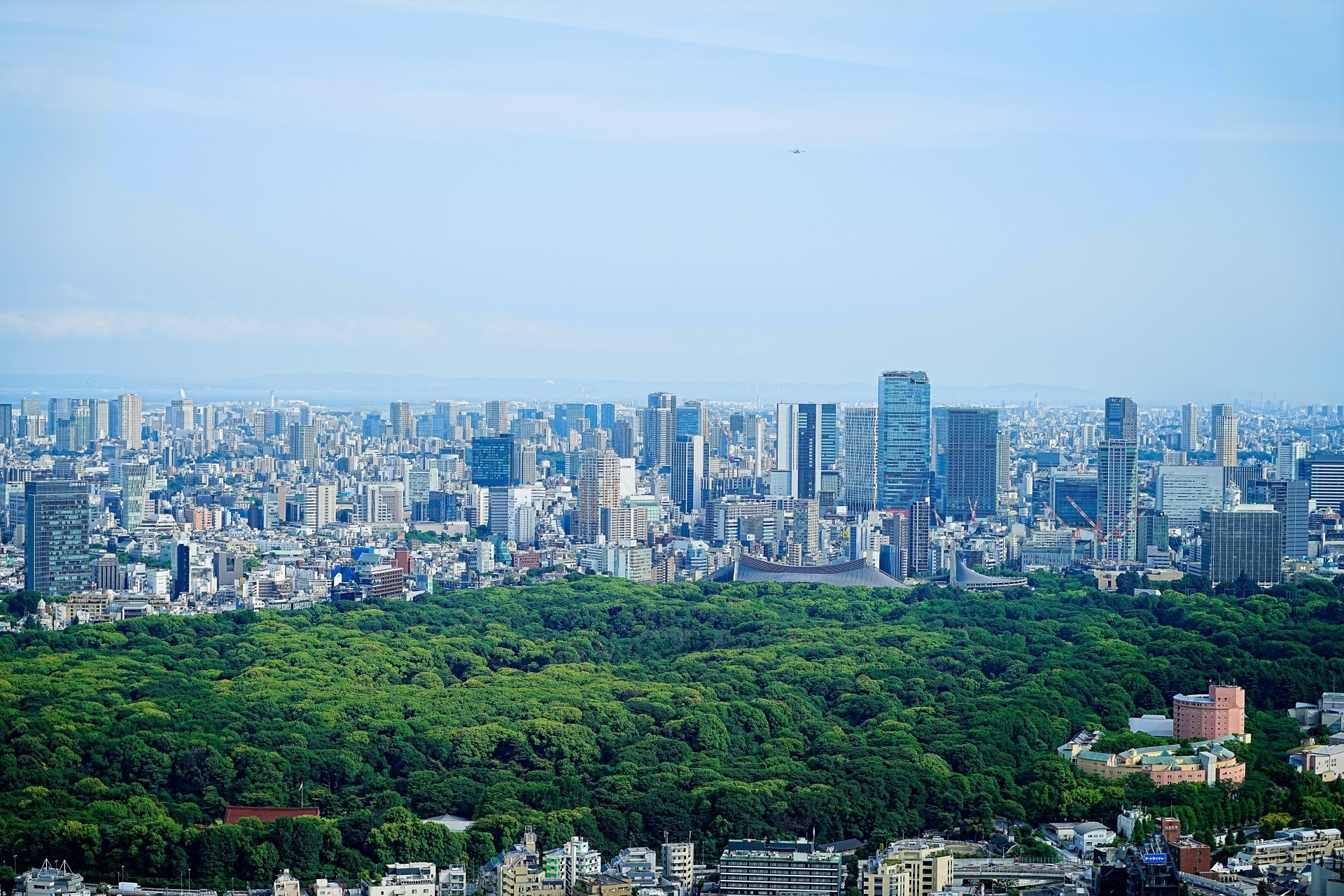 都心の便利さと快適な暮らし東京の建売・分譲住宅の魅力