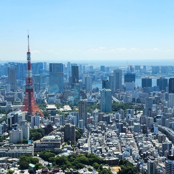 アクセス重視！ 東京の交通便利な建売・分譲住宅エリアを紹介