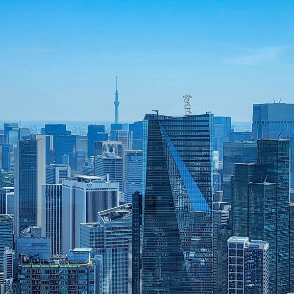 【東京都】建売・分譲住宅のメリットとデメリット、選ぶ前に知っておきたいこと