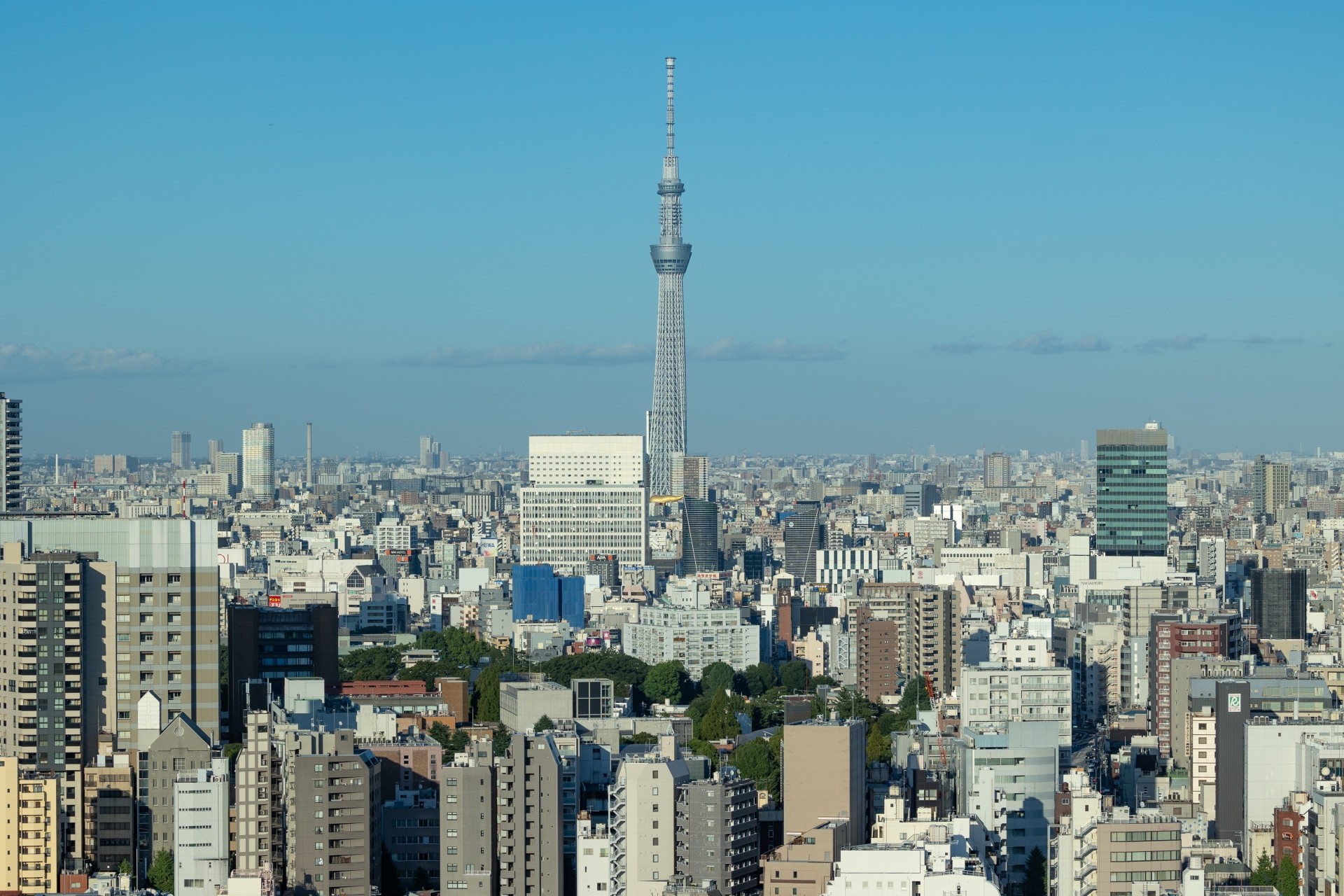 【東京都】2023年おすすめの人気建売・分譲住宅エリア