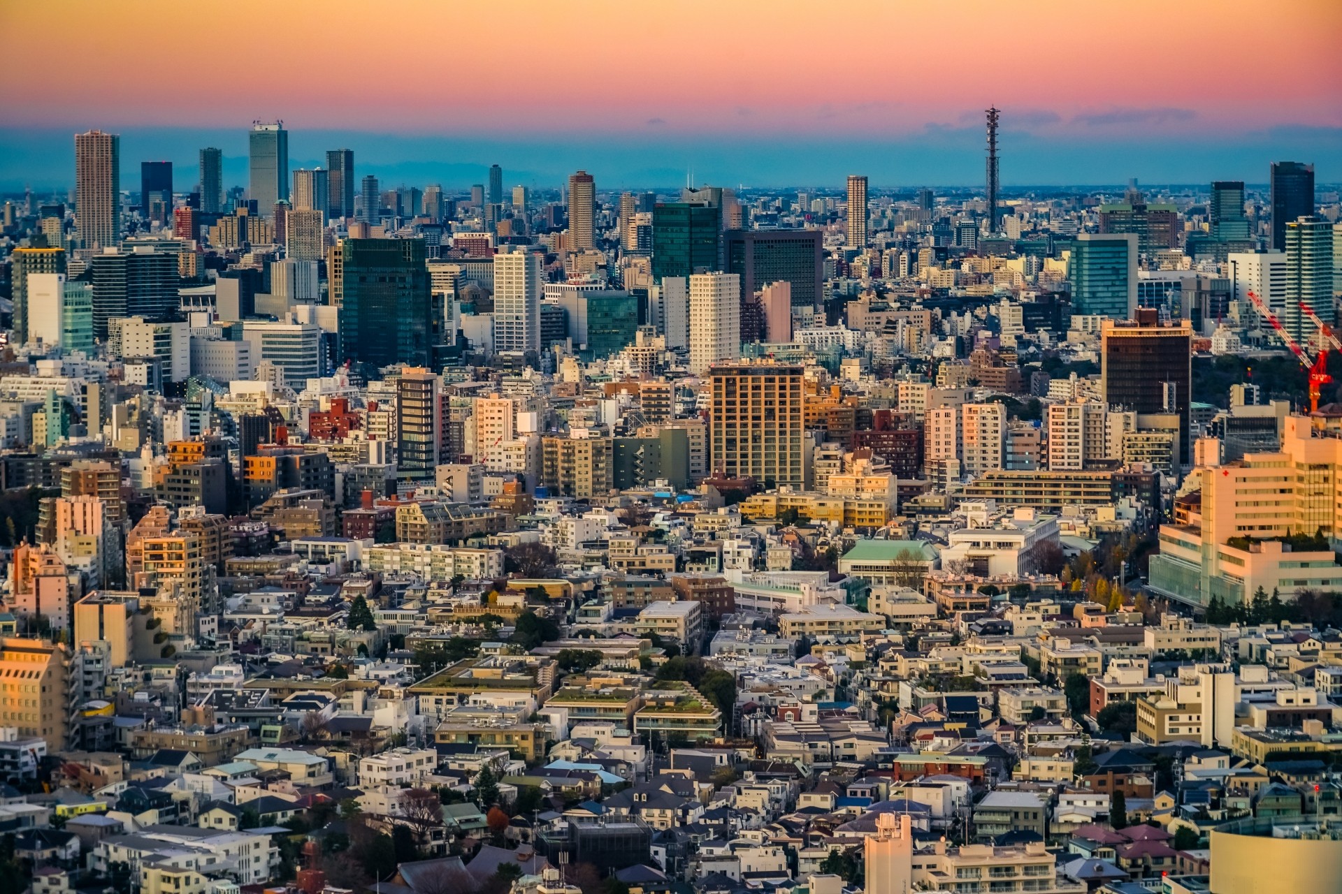 東京でのおすすめコンパクト分譲住宅エリア