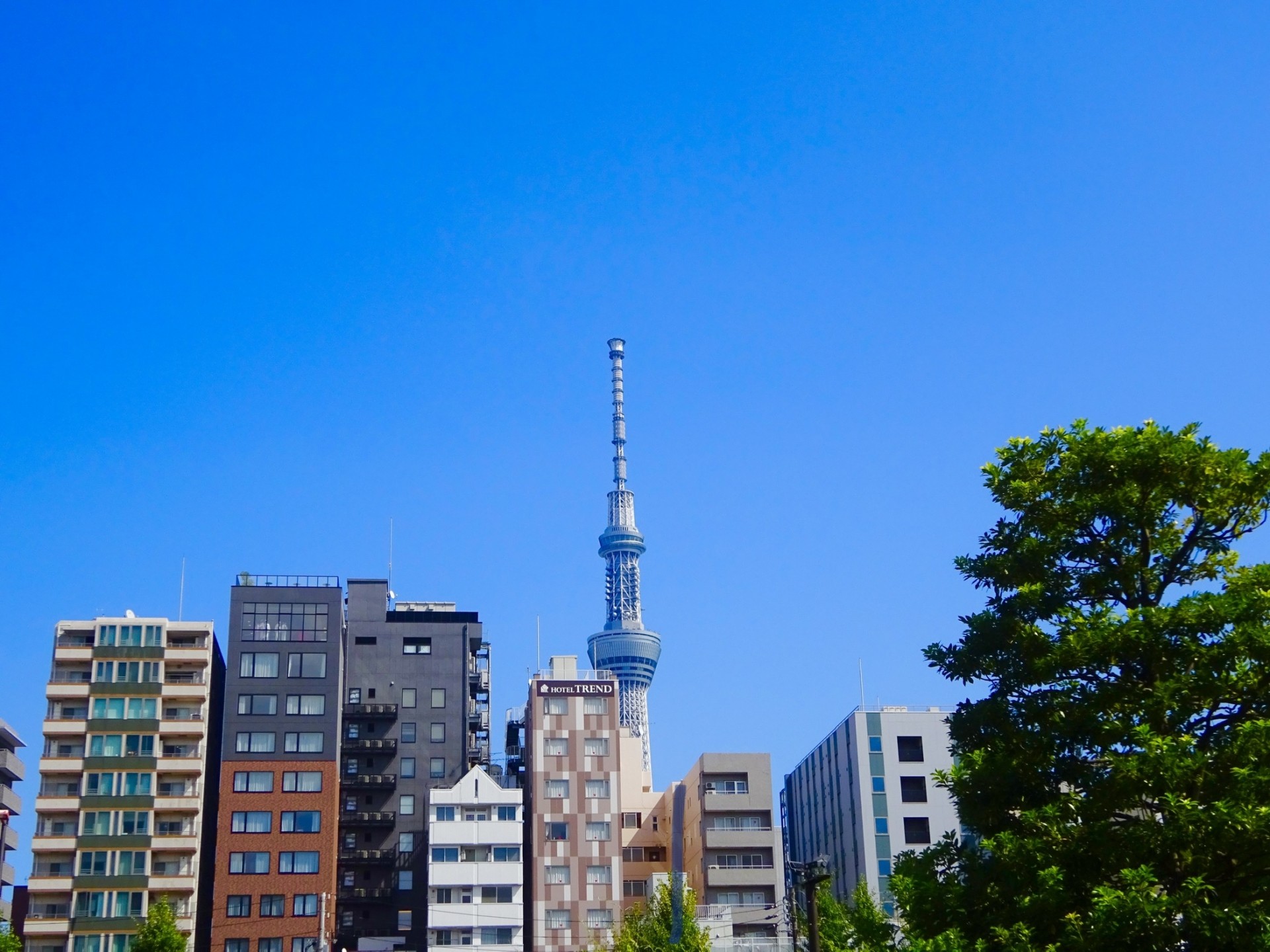 東部エリアの分譲住宅特徴