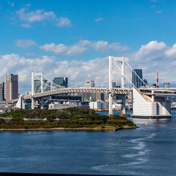 東京都内で見つけるユニークな建売・分譲住宅の建築スタイル