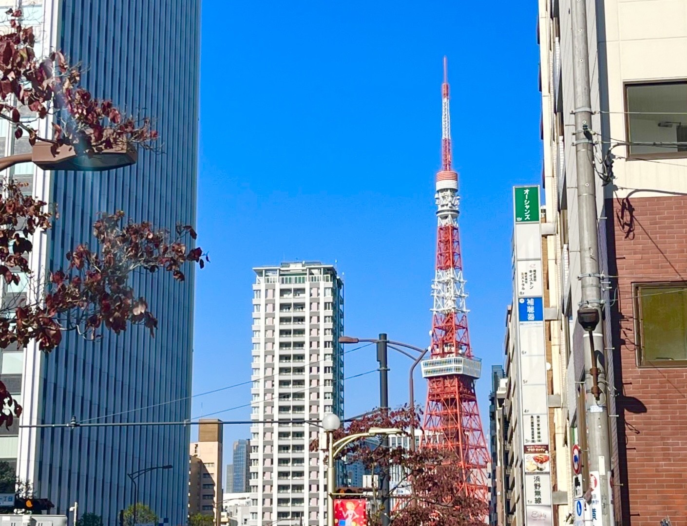 東京での建売・分譲住宅購入前に確認すべき近隣施設と環境