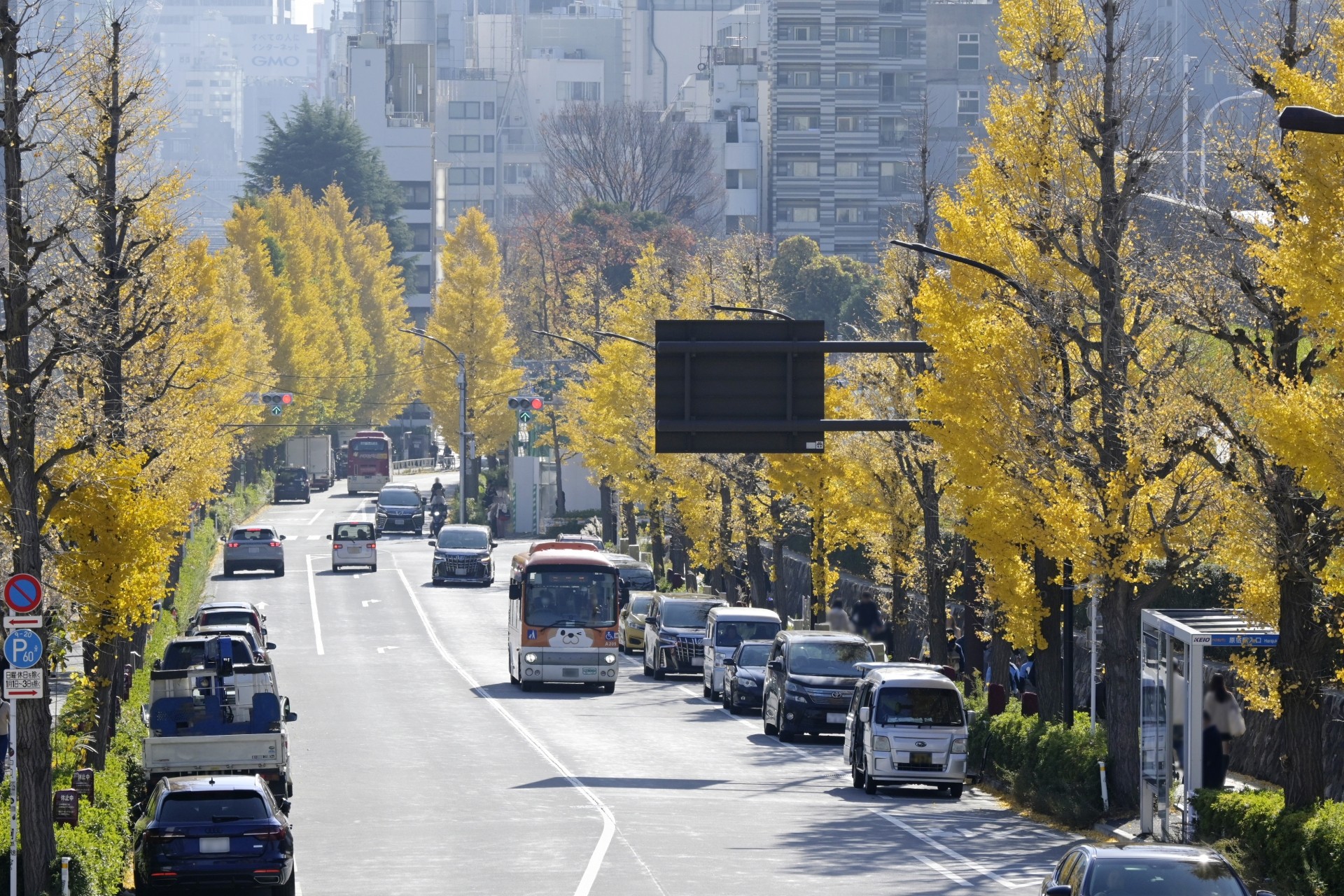 バス路線の利用と住宅選び