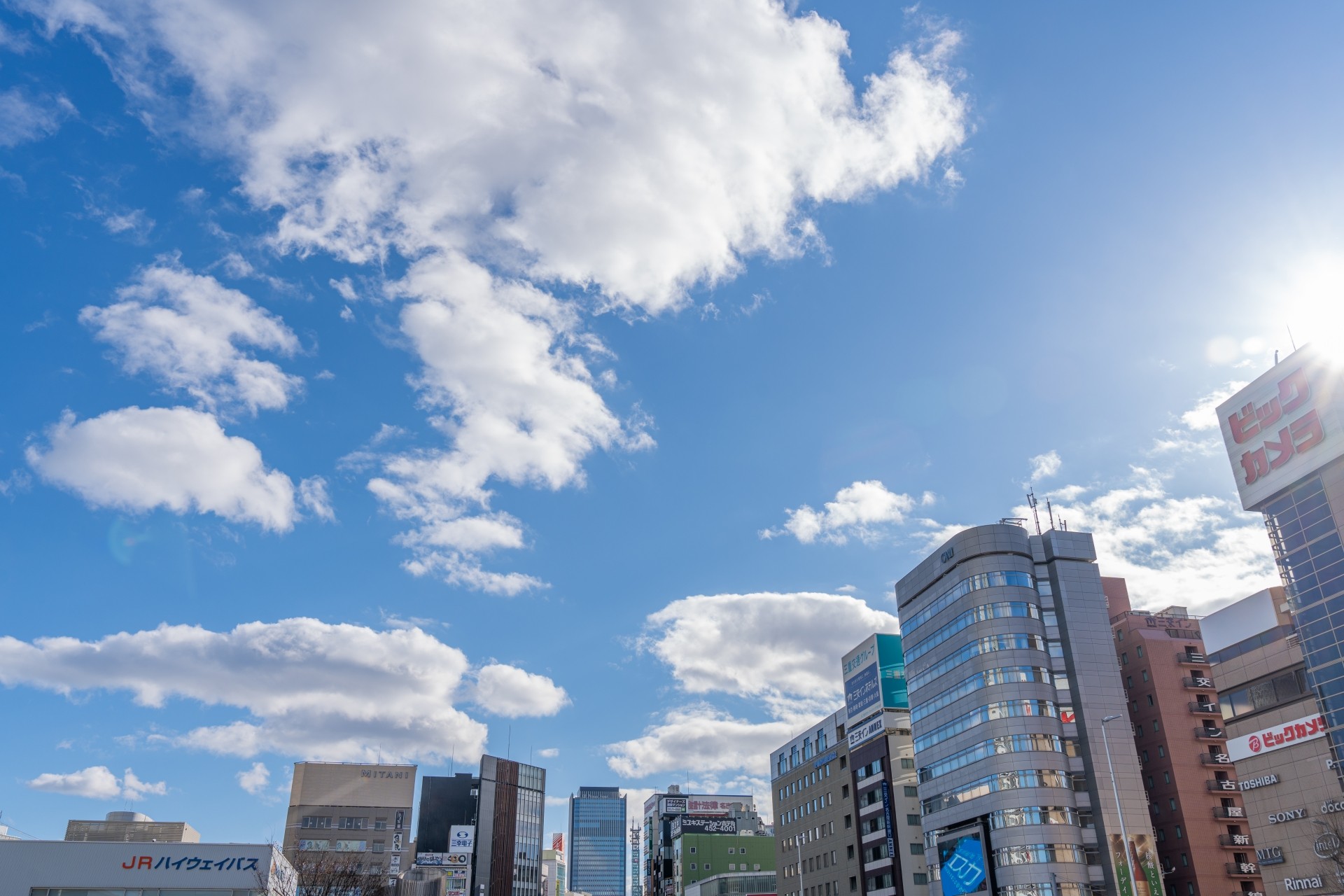 【まとめ】愛知県で持続可能な未来志向住宅を選ぶ理由