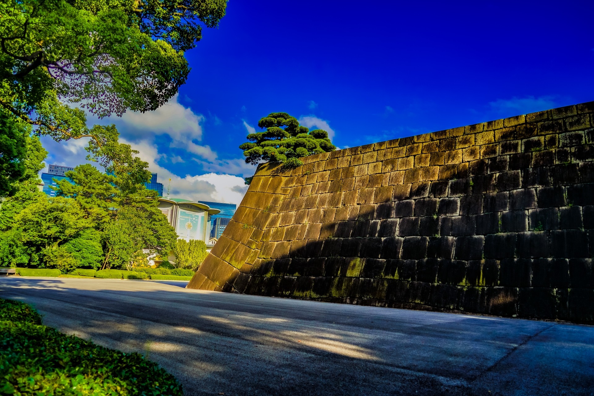 東京の歴史的地区で見つける、モダンな建売・分譲住宅