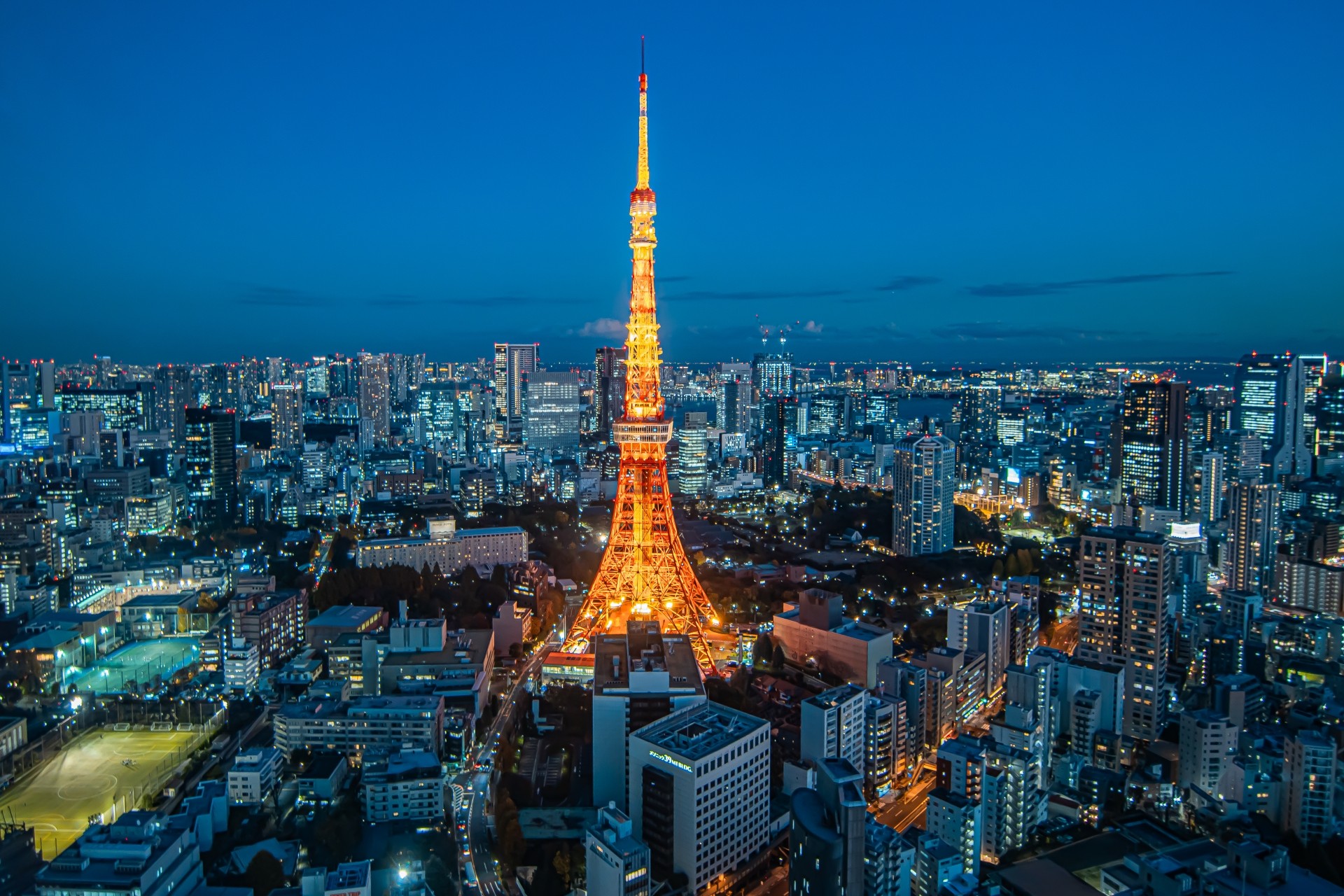 東京都内で見つける、子育て世代に優しい分譲住宅エリア