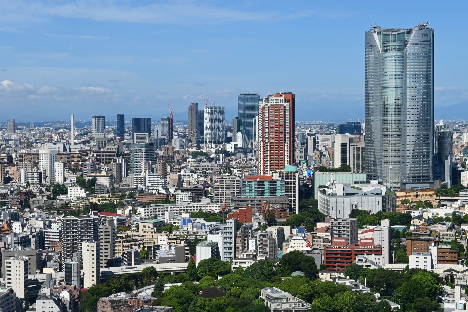 初心者でも安心、東京の分譲住宅購入ガイド