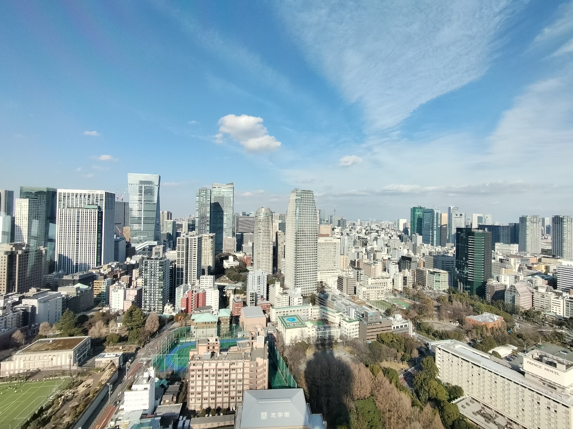 東京で建売・分譲住宅を選ぶ、緑豊かな住まいの条件