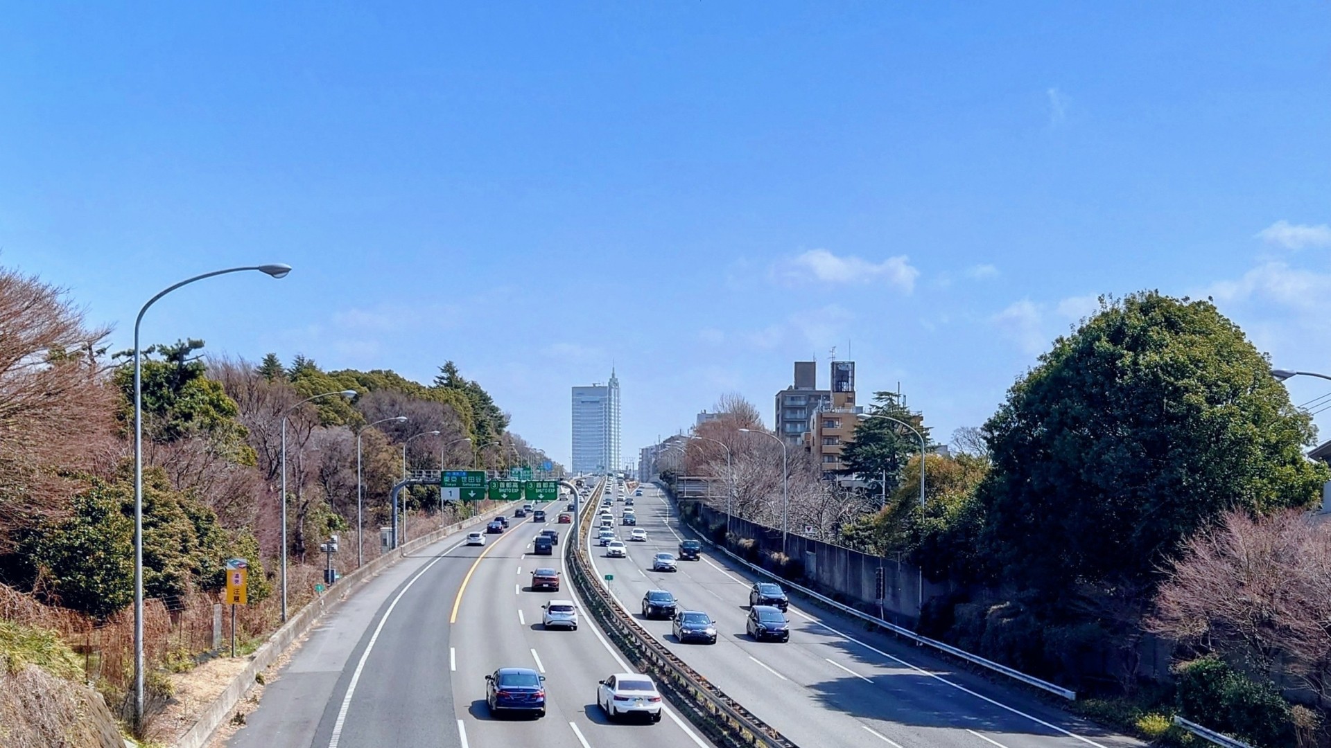 東京で人気のエリアとその魅力