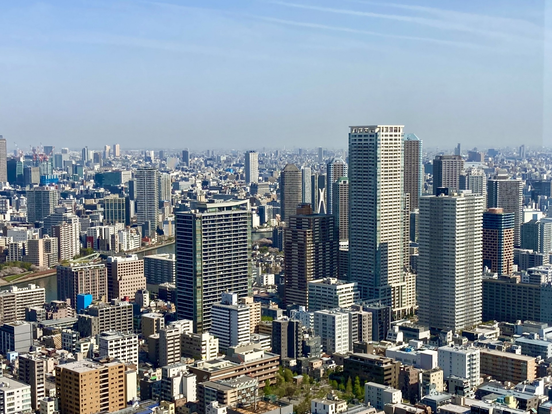 東京でアウトドアを楽しむ！庭付き分譲住宅の選び方