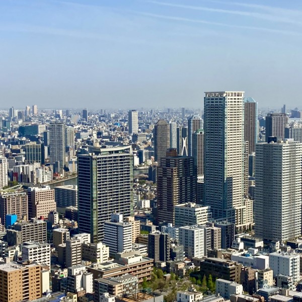東京でアウトドアを楽しむ！庭付き分譲住宅の選び方