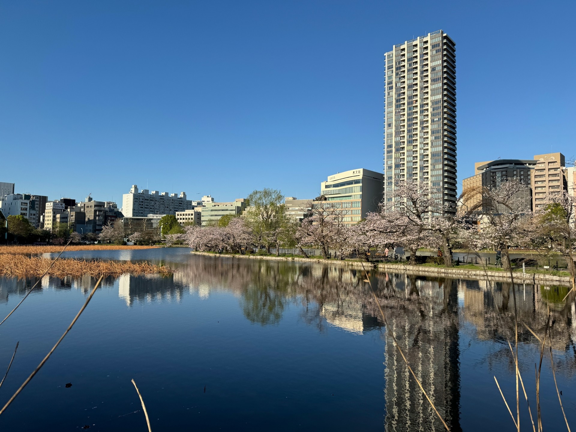 東京都内でエネルギー自給自足！太陽光発電付きの分譲住宅