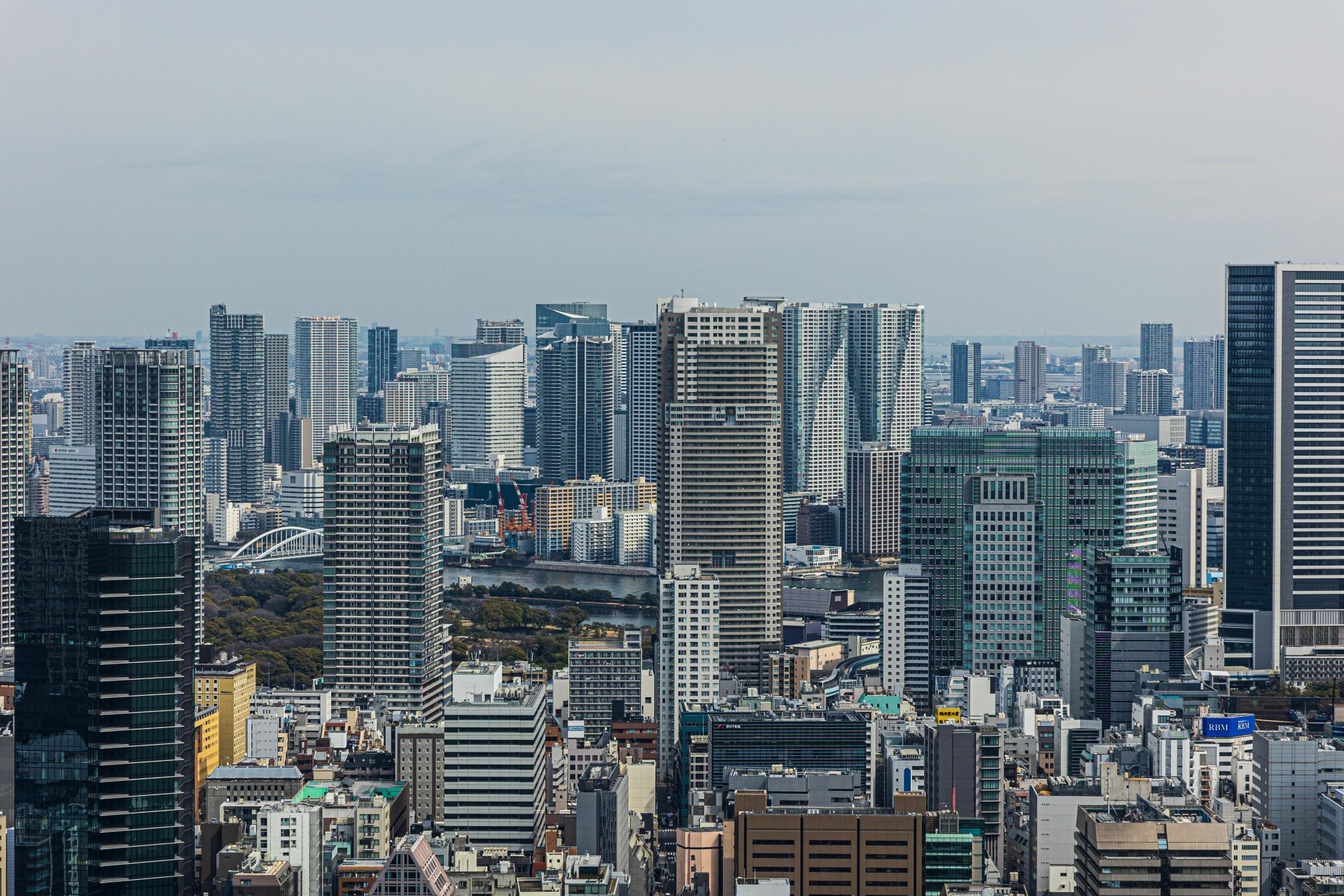 東京都内で建売・分譲住宅を選ぶ理由、利点と潜在的な落とし穴