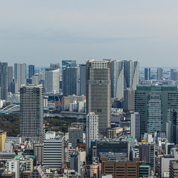 東京での暮らしを豊かにする、機能性重視の分譲住宅