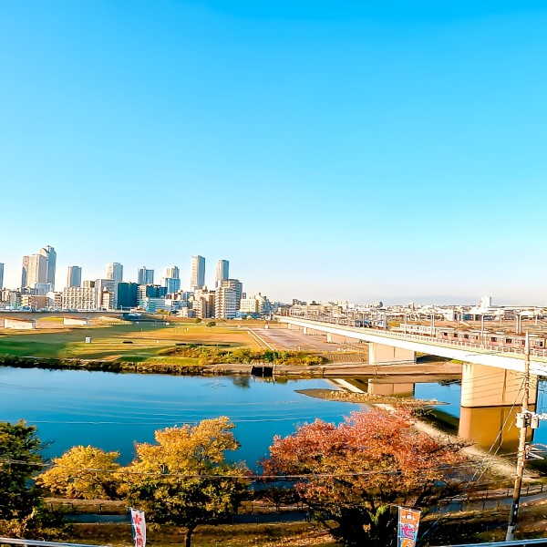 東京でのびのびと暮らす、広いリビングのある分譲住宅