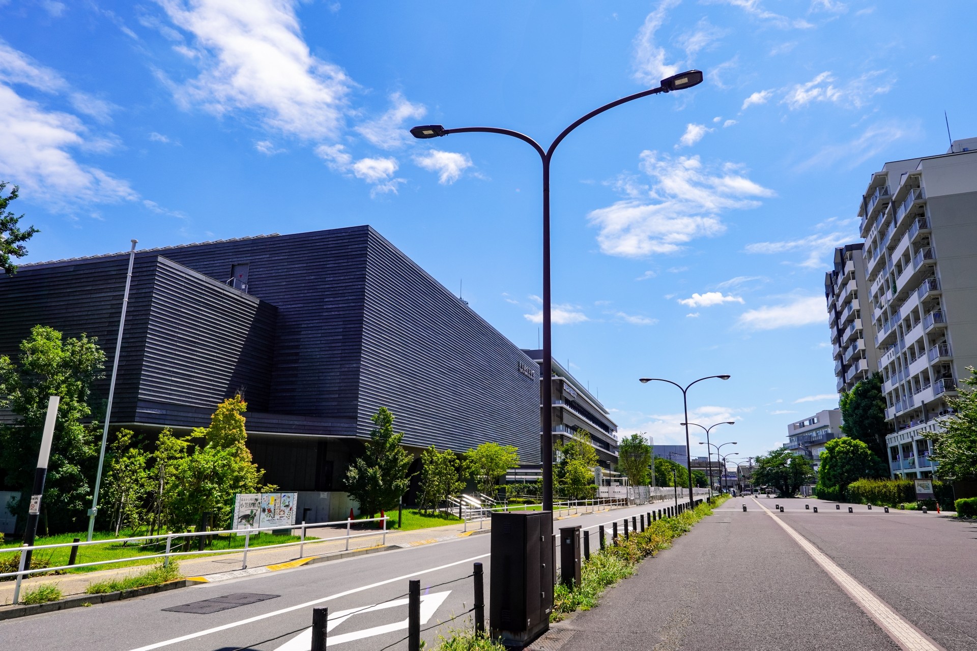 国分寺の分譲住宅で緑と都市の両方を楽しむ暮らし