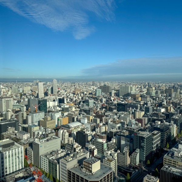 東京の建売住宅で住環境と通勤のバランスを取るためのエリア選び