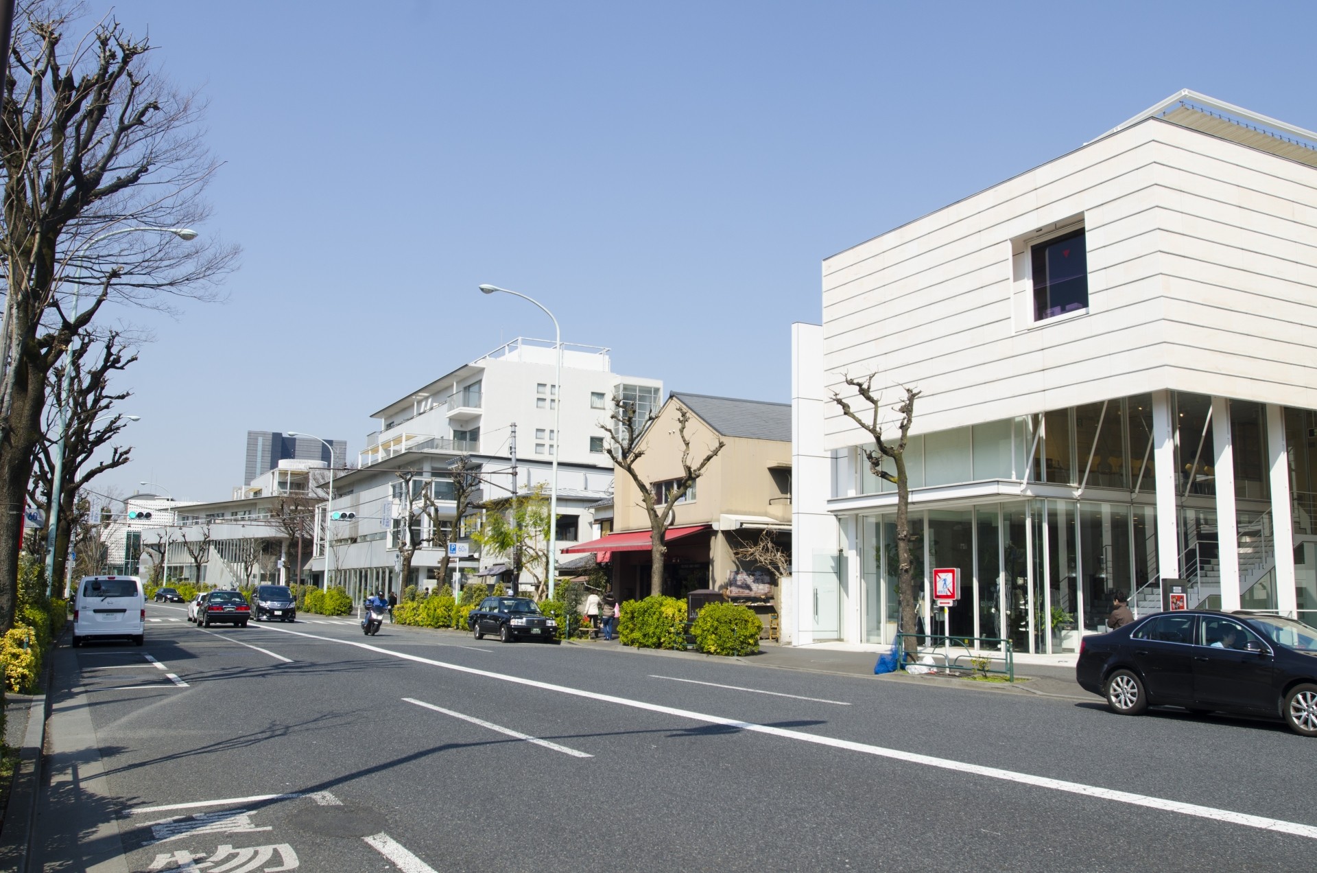 東京のおすすめペットフレンドリー分譲住宅エリア